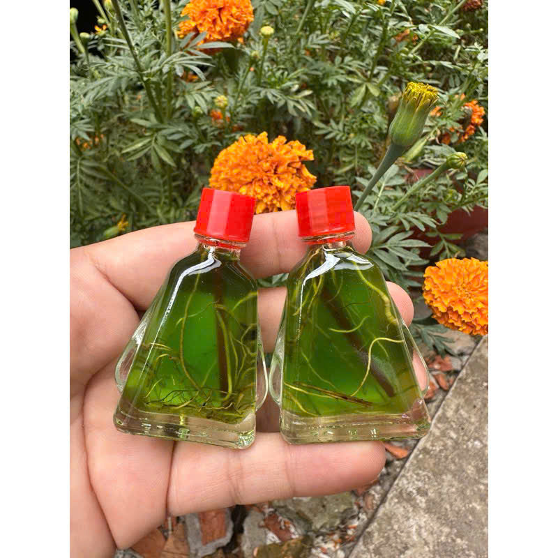 Combo 3 chai Dầu Viêm Xoang 3ml - Thông Mũi, Giảm Nghẹt Mũi Từ Tinh Dầu Thiên Nhiên